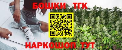 Альфа ПВП Сланцы